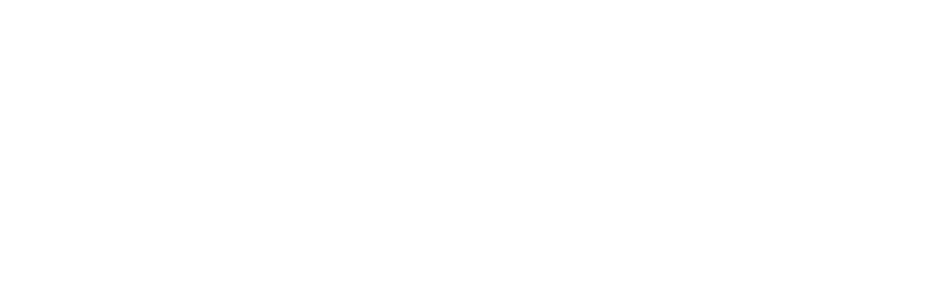 Alfines Gestion Privée